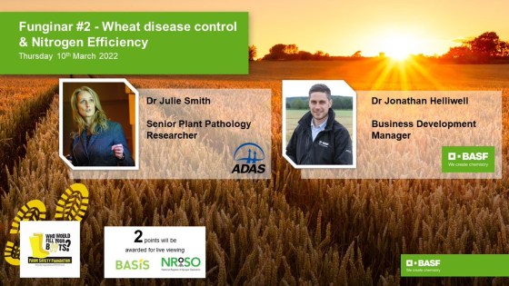 Disease control & nitrogen efficiency
