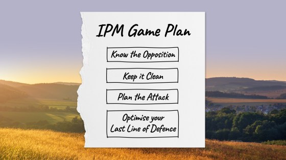 IPM Game Plan