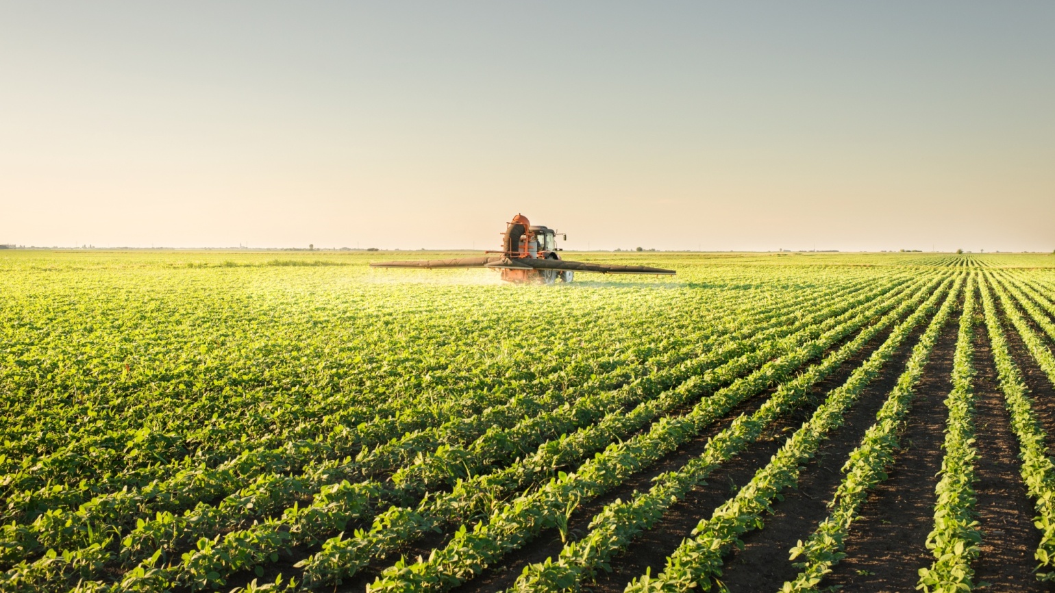 Field Beans BASF Agricultural Solutions UK