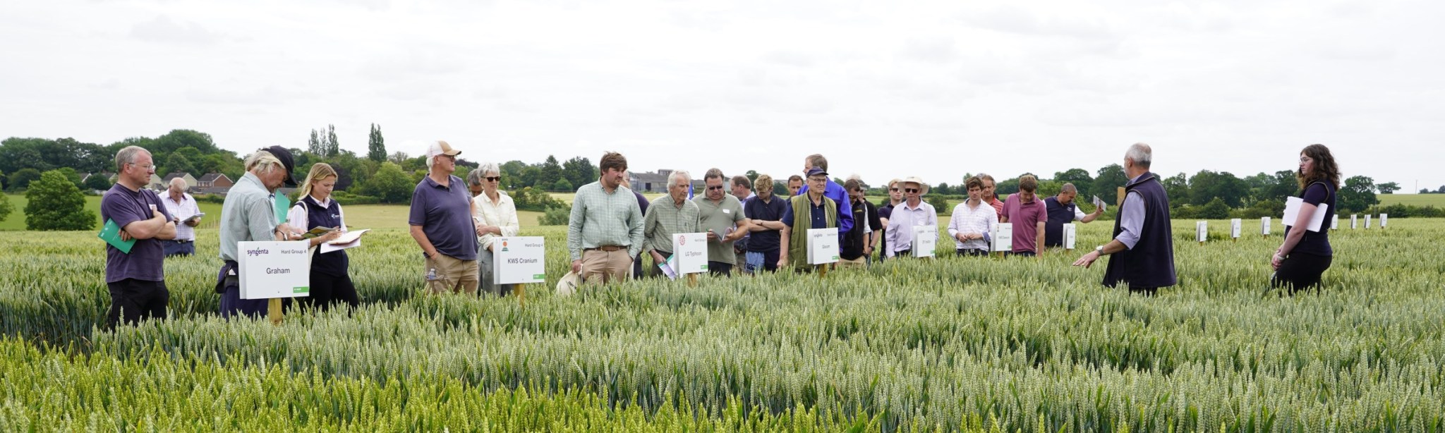 BASF Demo Days