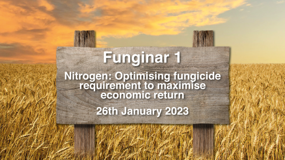 Nitrogen and Fungicides: Maximising economic return by optimising inputs