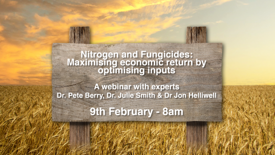 Nitrogen & Fungicides: Maximising economic return by optimising inputs