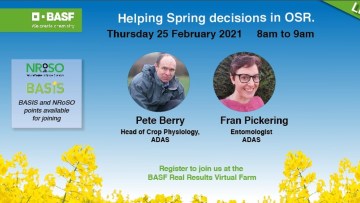 Helping Spring decisions in OSR