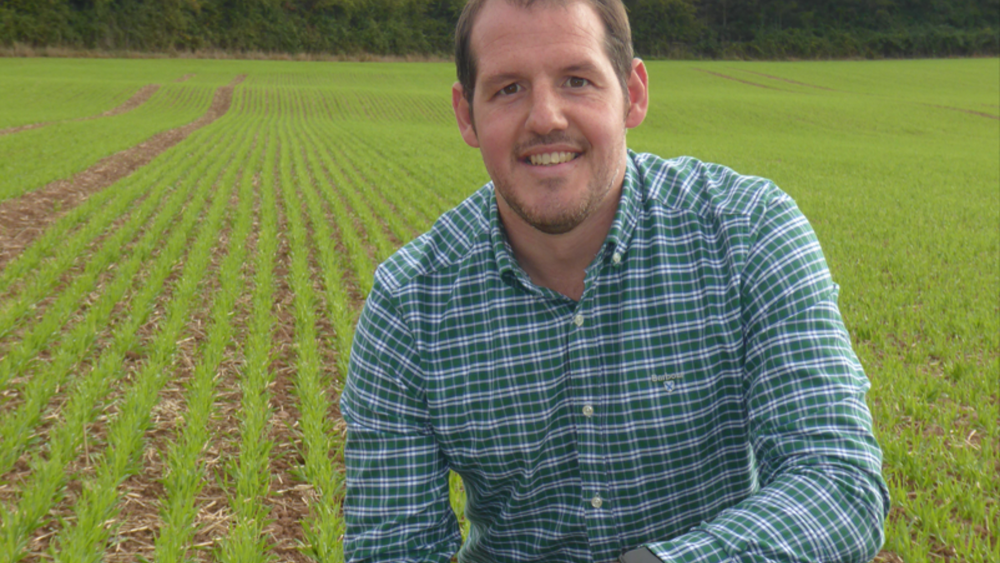 Season update: Clean cereals crops, boosting barley’s grassweed control ...