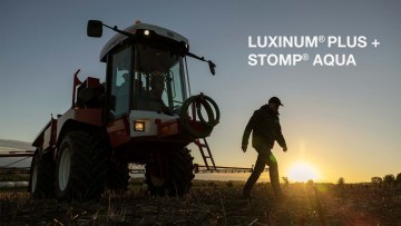 Luxinum® Plus + Stomp® Aqua