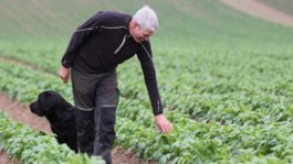 Potato Season Update with Seed Grower, Jim Reid.
