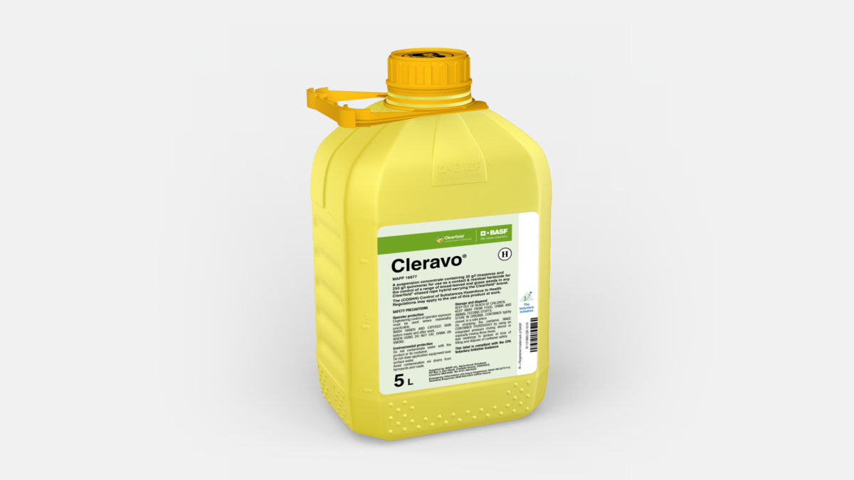 Cleravo - 58043856