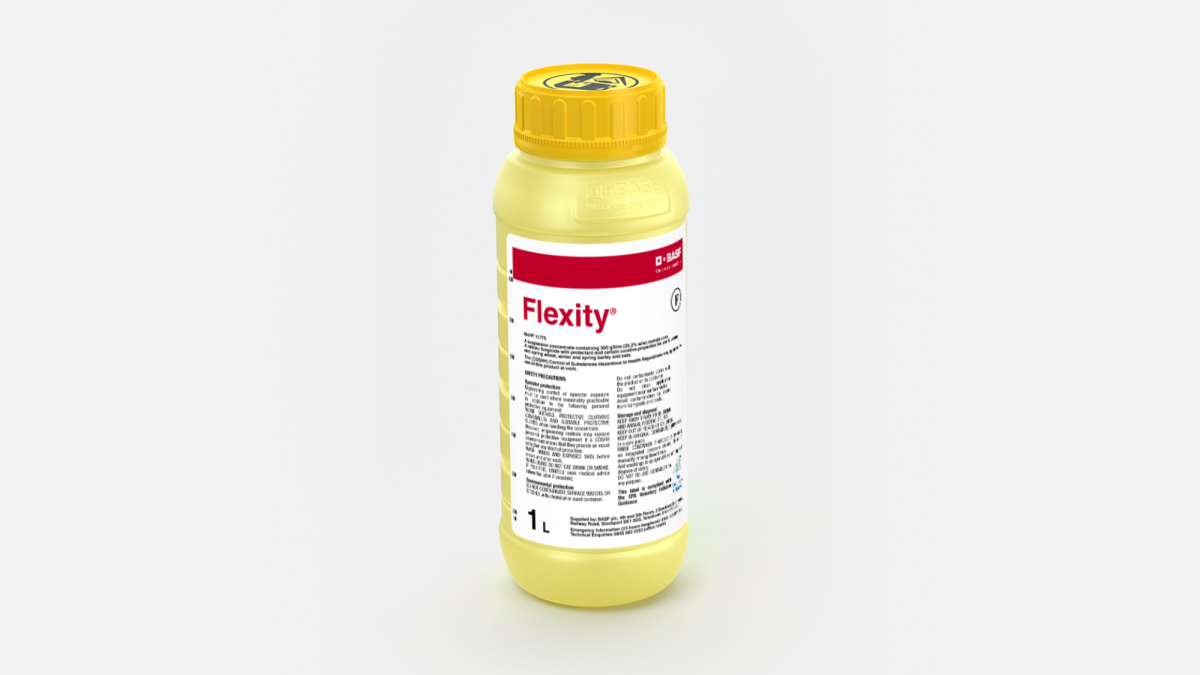 Flexity - 58651080
