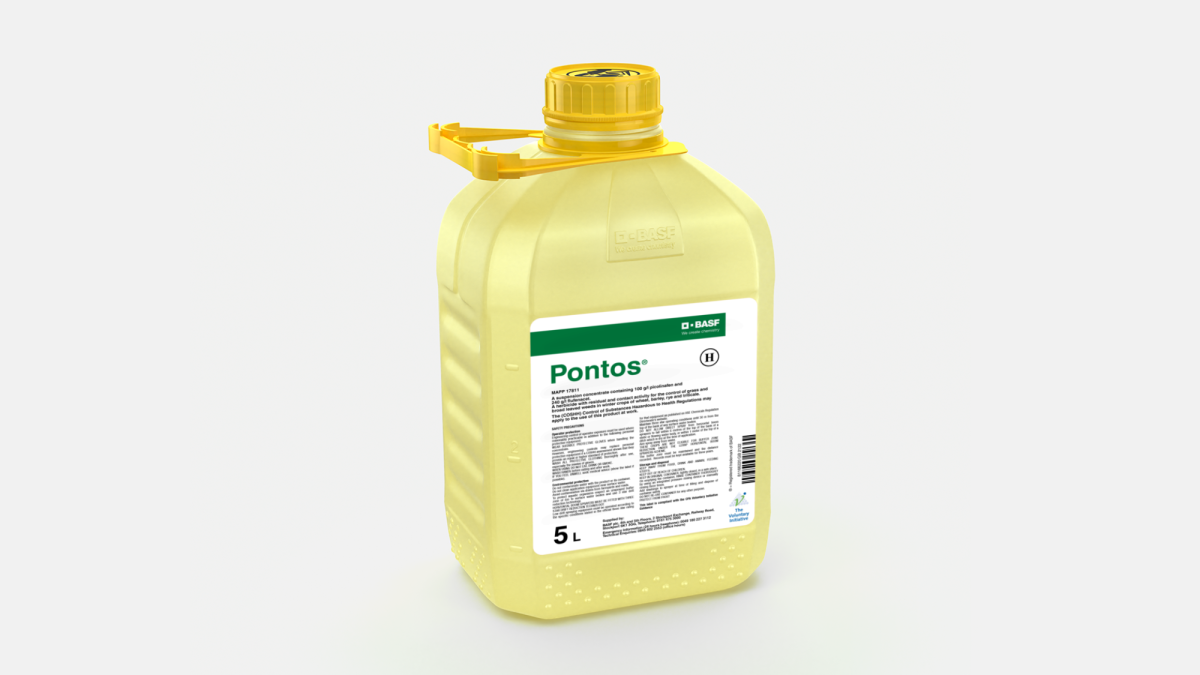 Pontos - 58014726