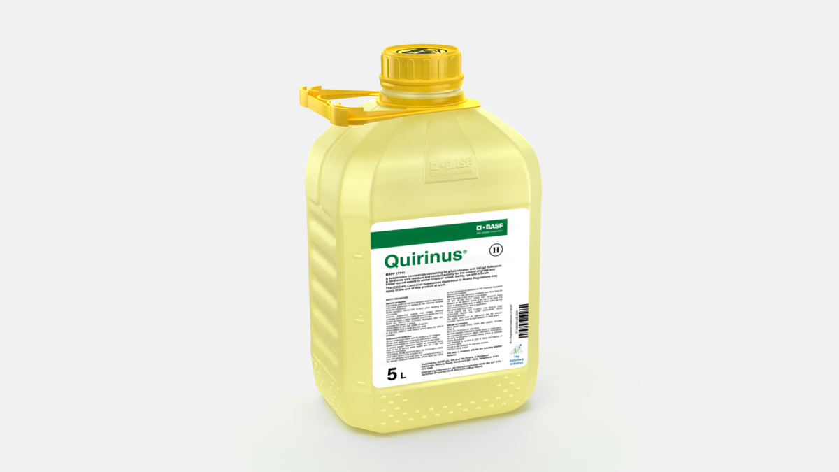 Quirinus - 58014818