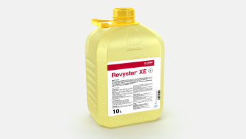 Revystar® XE is a systemic fungicide with protectant and curative properties for disease control in winter wheat, spring wheat, durum wheat, spelt wheat, winter barley, spring barley, winter oats, spring oats, winter rye, spring rye, winter triticale and spring triticale.