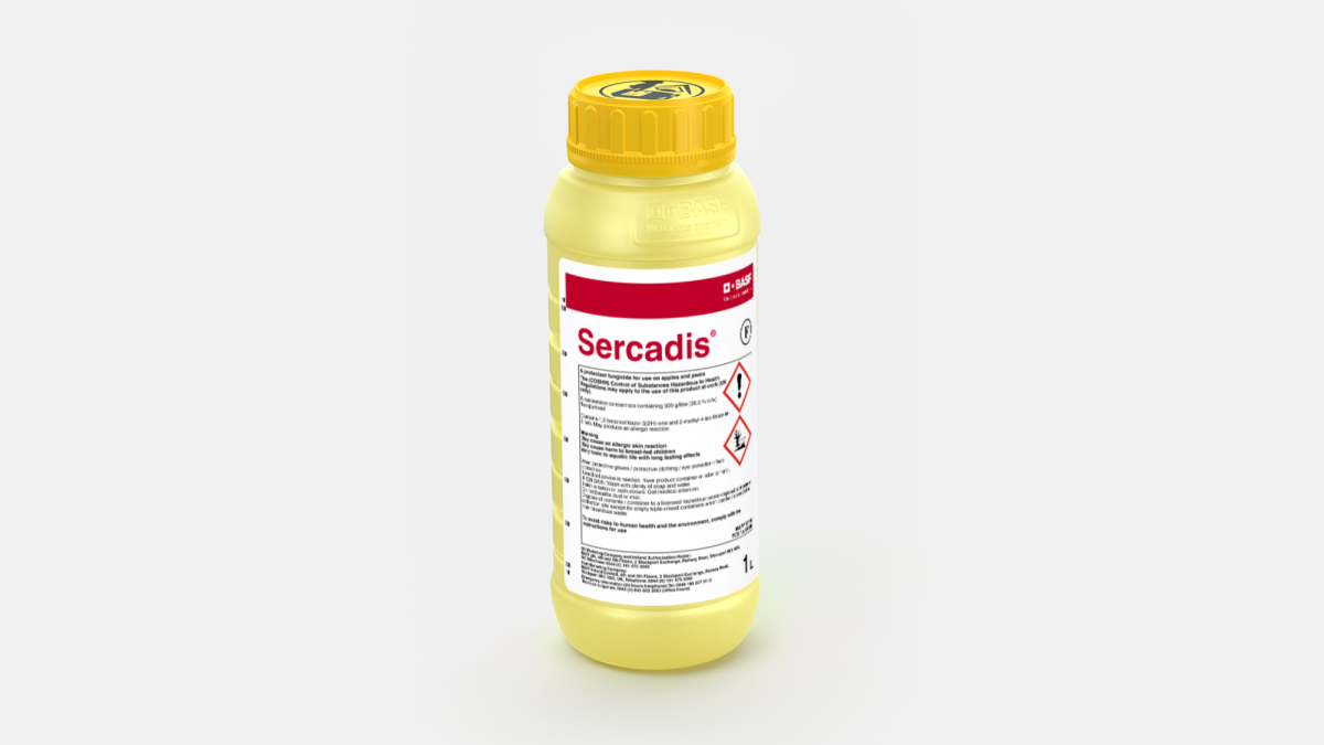 Sercadis - 58062918