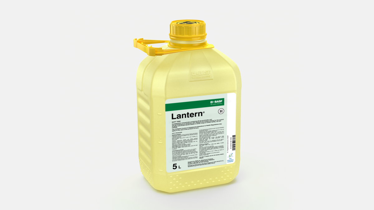 Lantern - 58192721