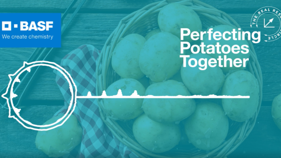Perfecting Potatoes Together Podcast 
