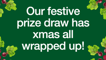 Terms and Conditions