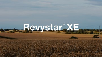 Revystar XE