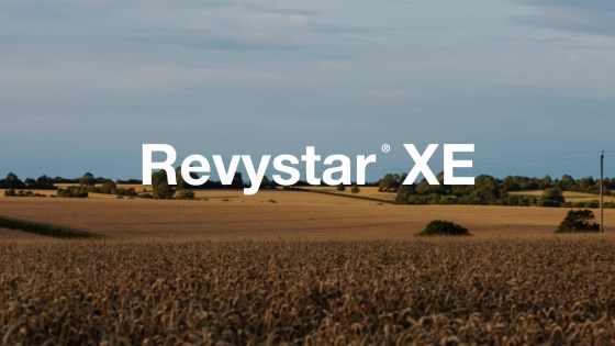 Revystar® XE