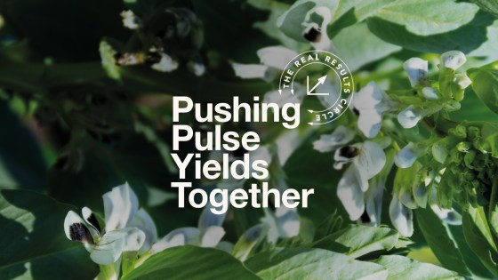 Pushing Pulse Yields