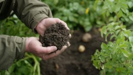 Climate Smart Farming