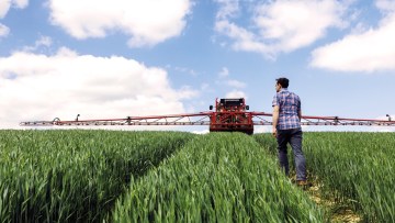 Wheat Disease Control