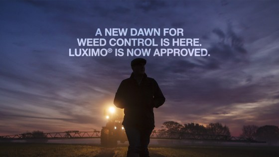 Luximo® Homepage