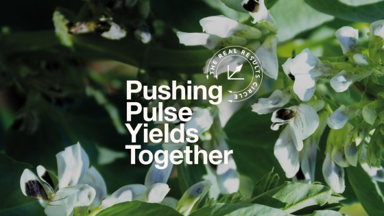 Pushing Pulse Yields Together