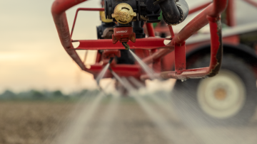 Advice on managing grassweeds after low pressure season