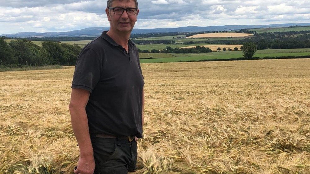 Give your barley the best chance this season - BASF Agricultural ...
