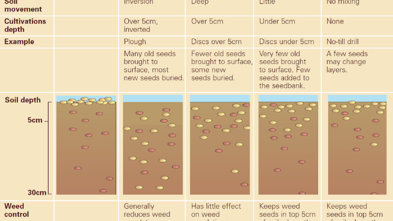 How to… Create the best stale seed bed for blackgrass control