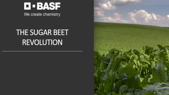 The Sugar Beet Revolution