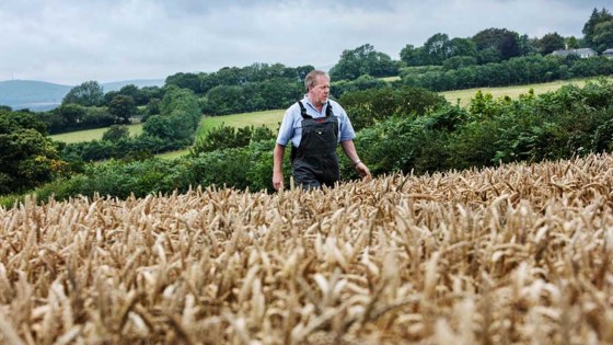 New fungicide, RevyPro® boosts barley yields by 0.56t/ha
