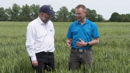  Importance of your Pre-Em: Italian Ryegrass