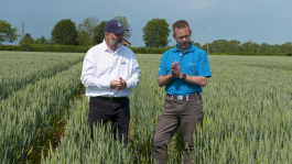  Building a Black-grass Programme
