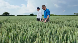  Black-grass: The Threat of Low Weed Counts
