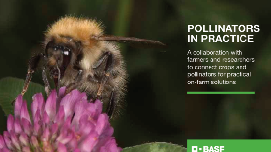 Pollinators in Practice