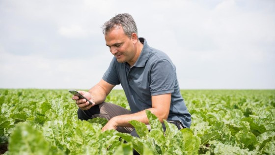 Get in touch with our Agronomy Managers
