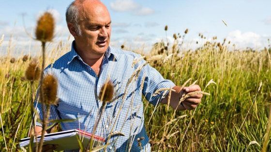 man looking at plant with notepad